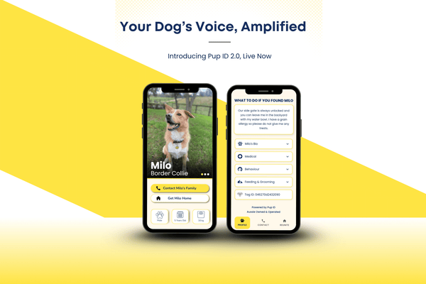 Your Dog's Voice, Amplified: Introducing PupID 2.0