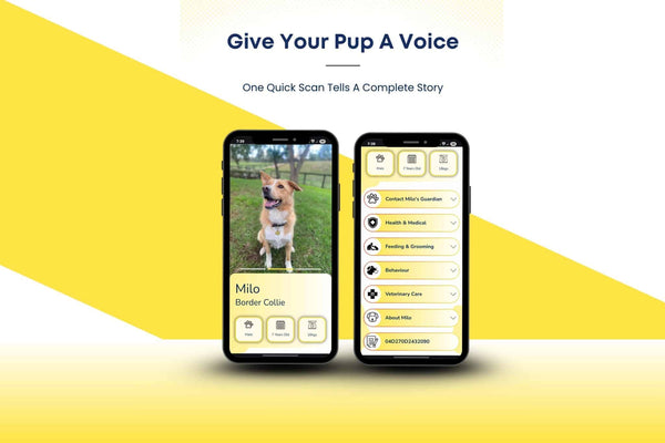 Why Your Dog Needs A Digital Pup Profile