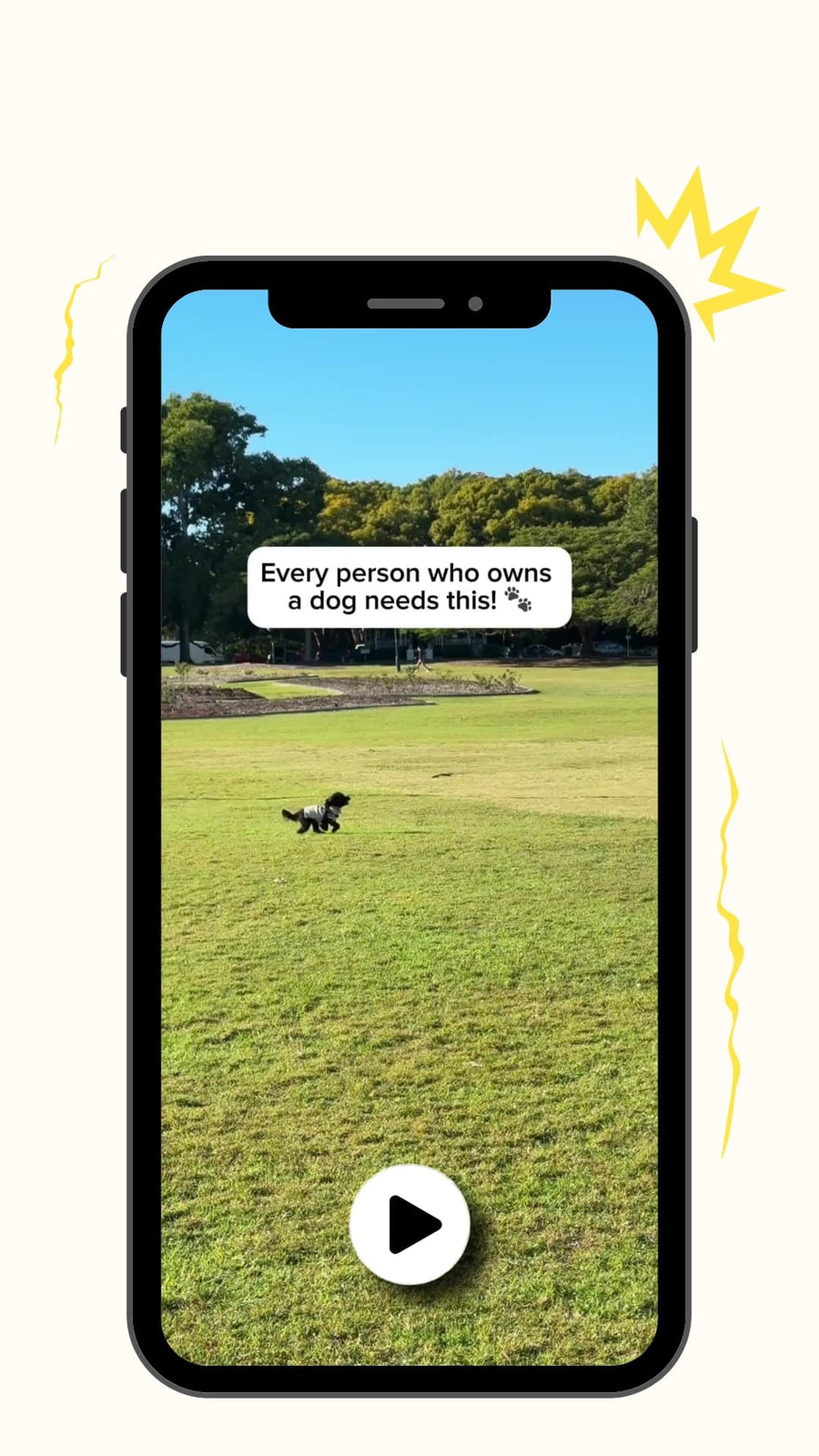 Play To Understand The Pup ID QR Code Dog Tag