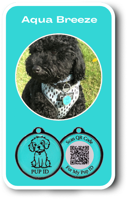 Tag design