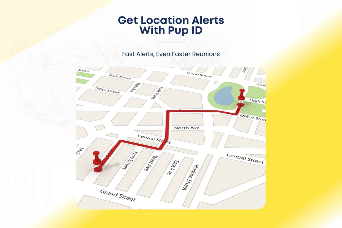 Pup ID Live Location Alerts