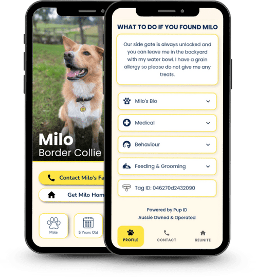 Digital Dog Profiles