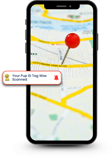 Live Location Alerts