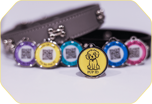 Order your free  Pup ID