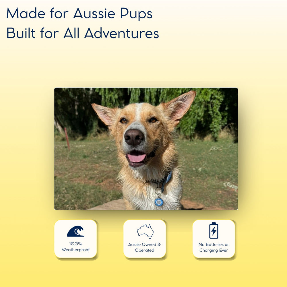 Made for Aussie Pups, Built for All Adventures