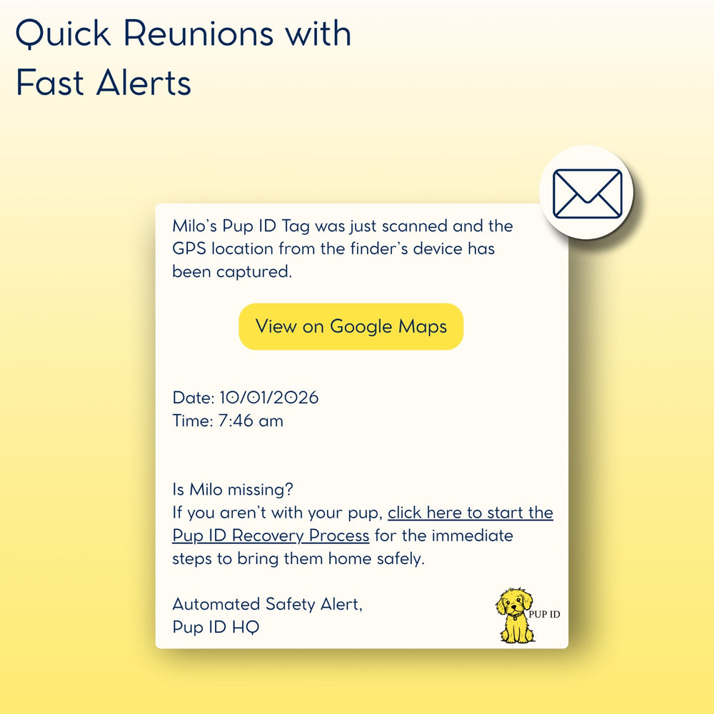 Quick Reunions with Fast Alerts