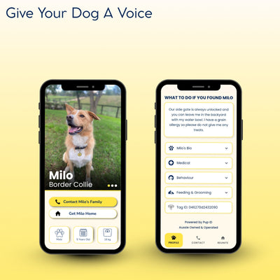 Give Your Dog A Voice