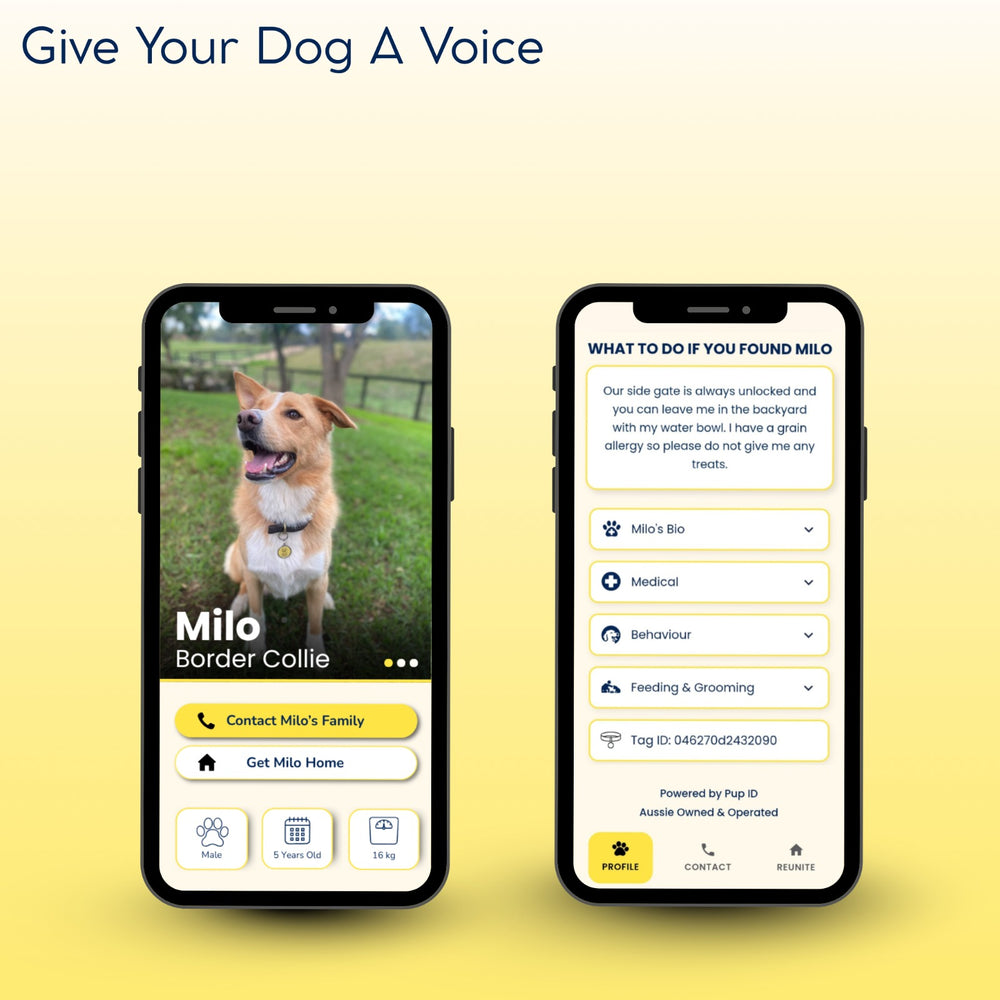 Give Your Dog A Voice