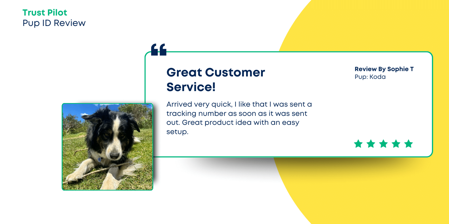 Pup ID customer review 3